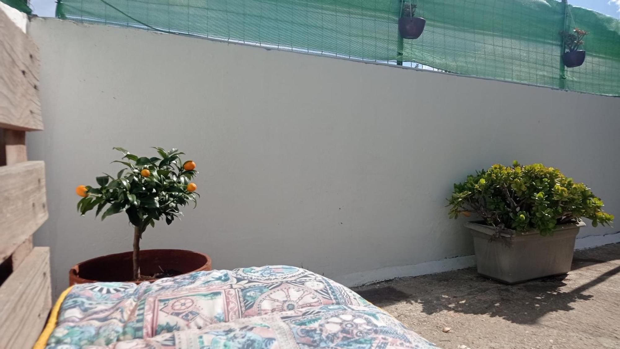 Casa Dalila Apartment Belvedere  Exterior photo